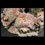 Treasure's Price detail 9x14 in.jpg